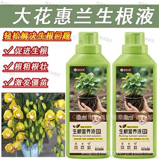大花惠兰生根液水培植物通用营养液室内园艺盆栽养花专用肥生根液