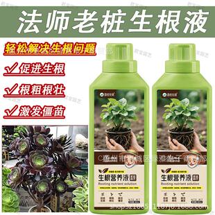 法师老桩生根液水培植物通用营养液室内园艺盆栽养花专用肥生根液