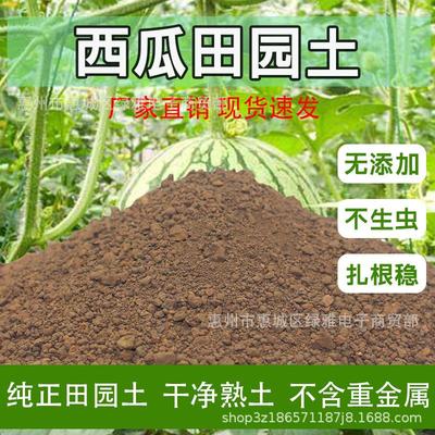 西瓜田园土种植专用土纯天然沙土黄土菜园土绿植黑土种树有机肥土