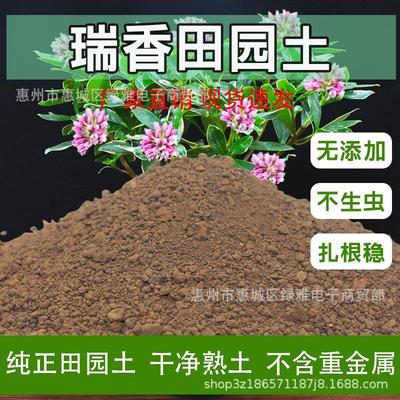 瑞香田园土种植专用土纯天然沙土黄土菜园土绿植黑土种树有机肥土