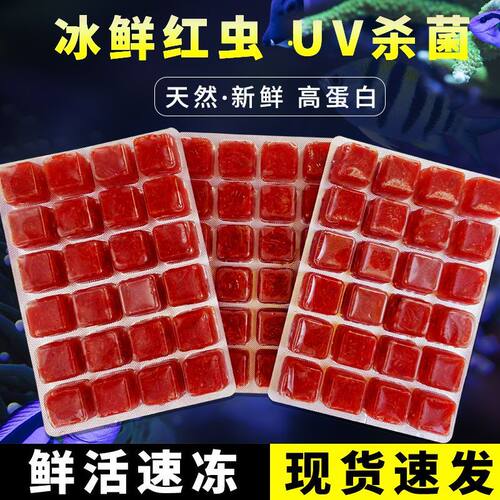UV杀菌冻红虫高蛋白孔雀热带鱼食