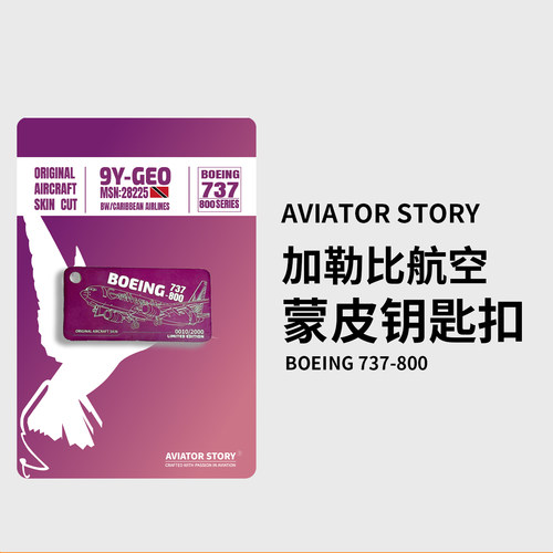 加勒比航空波音737飞机蒙皮挂件