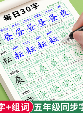 五年级上册下册同步练字帖小学生专用每日30字儿童减压点阵控笔训练硬笔书法练字本每日一练人教版语文描红字帖田字格米字格临摹本