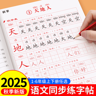 小学语文同步字帖一年级二年级练字字帖三上册下册同步练字帖四年级五六年级下册配套人教版 小学生专用练字帖生字描红本每日一练
