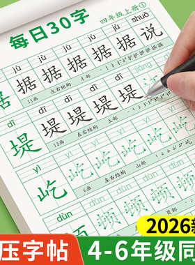 四年级上册下册同步字帖小学生专用练字贴每日30字五年级六年级人教版语文课本钢笔临摹硬笔书法练习每日一练生字描红本写字帖打卡