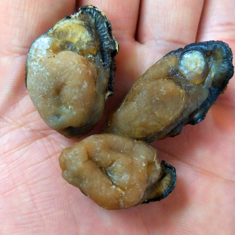 生蚝干蚝豉海鲜牡蛎干一斤装特级袋装排蚝