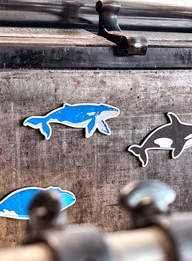 活版印刷鲸鱼系插画虎鲸座头鲸弓头纸质鲸冰箱贴专色印制