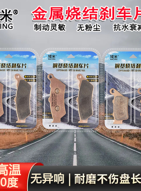 适配宝马F650CS/ST/GS G650X G650GS F700GS F800GS烧结刹车片皮