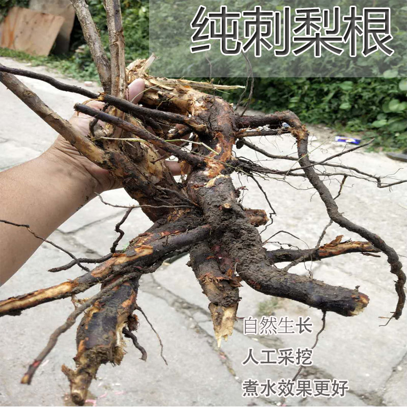 干货纯刺梨树根贵州滋补刺梨根当年新货刺梨根泡茶泡酒多规格可选