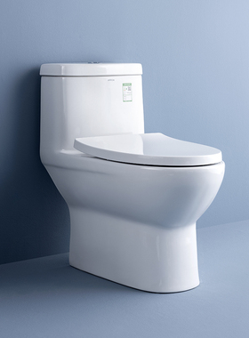 箭牌大管径抽水马桶家用虹吸式防臭卫生间大冲力陶瓷普通坐便器