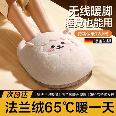 德国FZY暖脚宝2025年新款插电式艾草热敷加热冬天桌下捂脚取暖