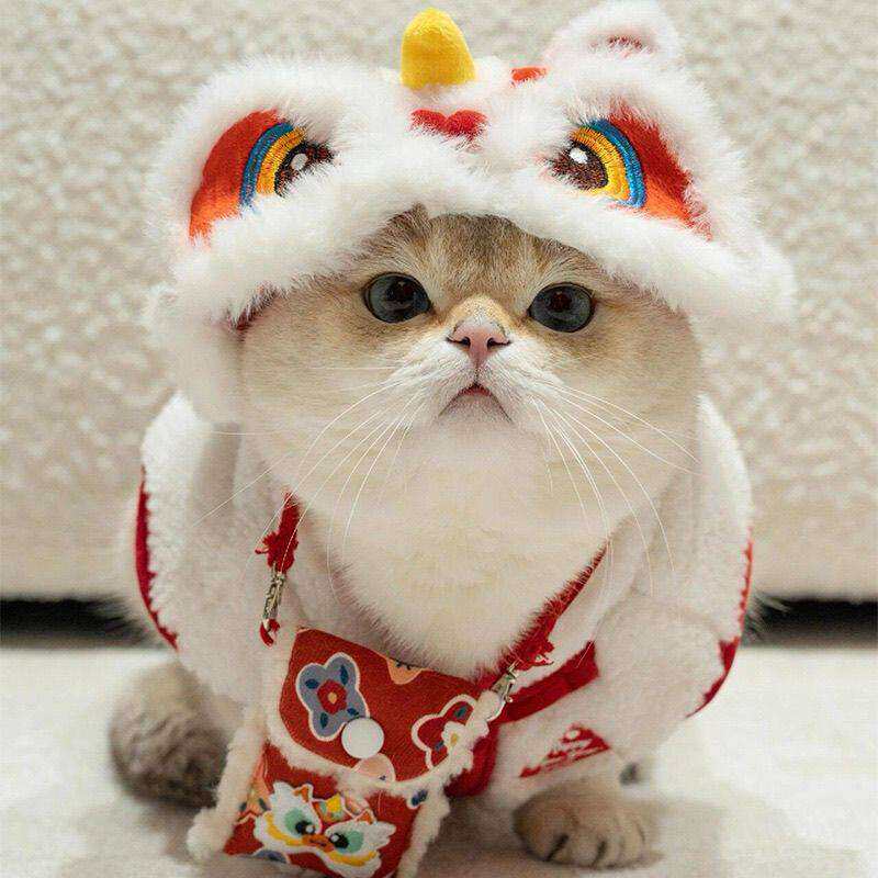 猫咪狮子头套狗狗新年装扮宠物过年醒狮衣服舞狮帽子头饰蛇年拜年