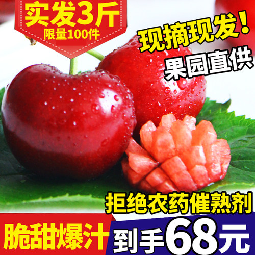 山东烟台大樱桃拉宾斯3斤国产红樱桃车厘子新鲜孕妇水果现摘现发