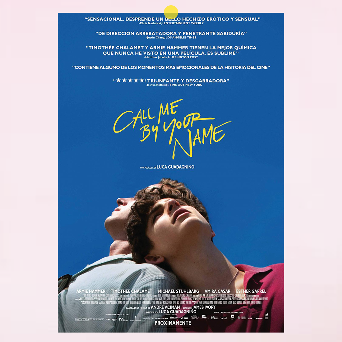 请以你的名字呼唤我|甜茶|Call Me By Your Name卧室酒吧电影海报
