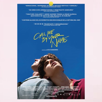请以你的名字呼唤我|甜茶|Call Me By Your Name卧室酒吧电影海报