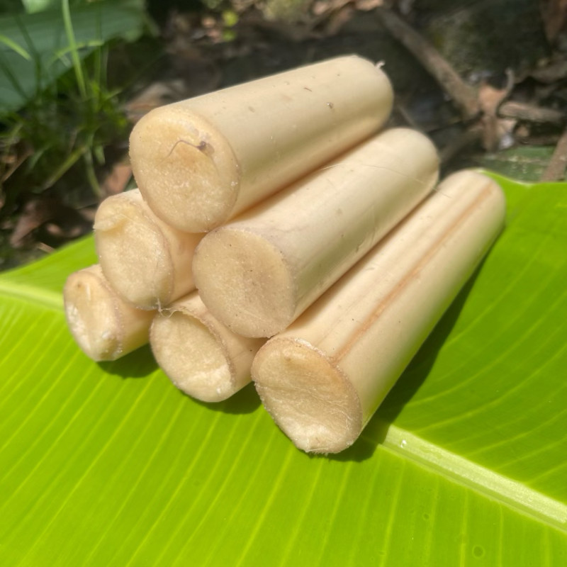 现摘现发天然芭蕉杆啦丝芭蕉心香蕉杆茎心 蕉茎干心2斤装包邮
