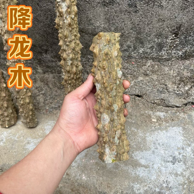 深山降龙木原木野生天然把玩收藏木料老料家居镇宅玄关装饰摆件