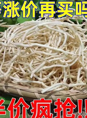 折耳根新鲜鱼腥草猪鼻孔当季野蔬菜嫩根节节根凉拌下饭菜侧耳根