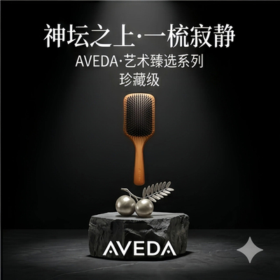 Aveda艾凡达气垫梳蓬松造型高颅顶长发专用 小红书推荐贵妇按摩梳