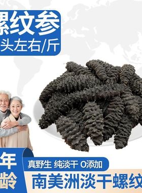 SEA ROLE南美洲螺纹参龙纹参海参 淡干海参500克/袋装(25头左右)