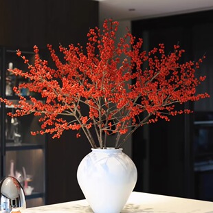 A级冬青|年宵花鲜切花水培小众室内氛围感好养做干花复古花材