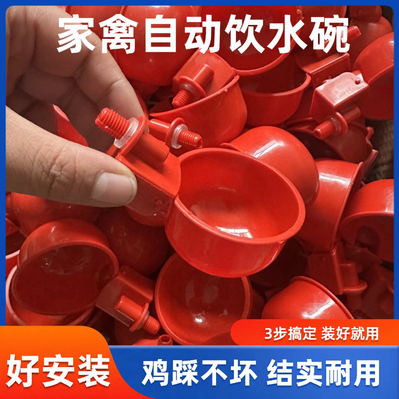 养殖鸡用自动饮水喂食槽一体