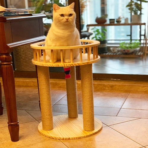 剑麻猫爬架四季通用玩具猫树小型