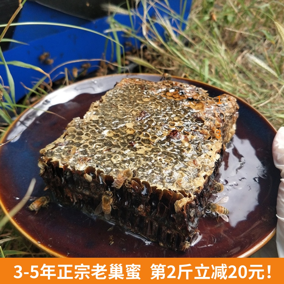 【老巢蜜】嚼着吃的蜂巢蜜纯正宗天然农家自产蜂场现割1斤500g装