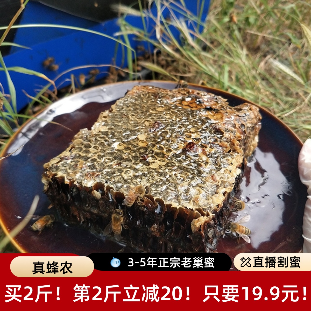 【老巢蜜】嚼着吃的蜂巢蜜纯正宗天然农家自产蜂场现割1斤500g装