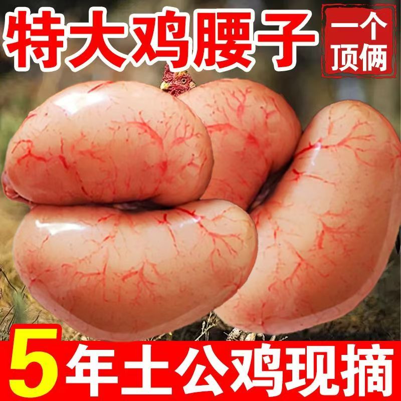 特大号老公鸡腰子2斤装大补鸡肾卵蛋睾丸鸡宝鸡春公鸡蛋烧烤