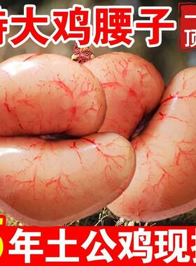 斤装精选年老腰子鸡肾卵蛋睾丸