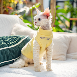 加绒纯棉背心简约打底德文猫衣服斯芬克斯无毛猫柯尼斯阿比黄