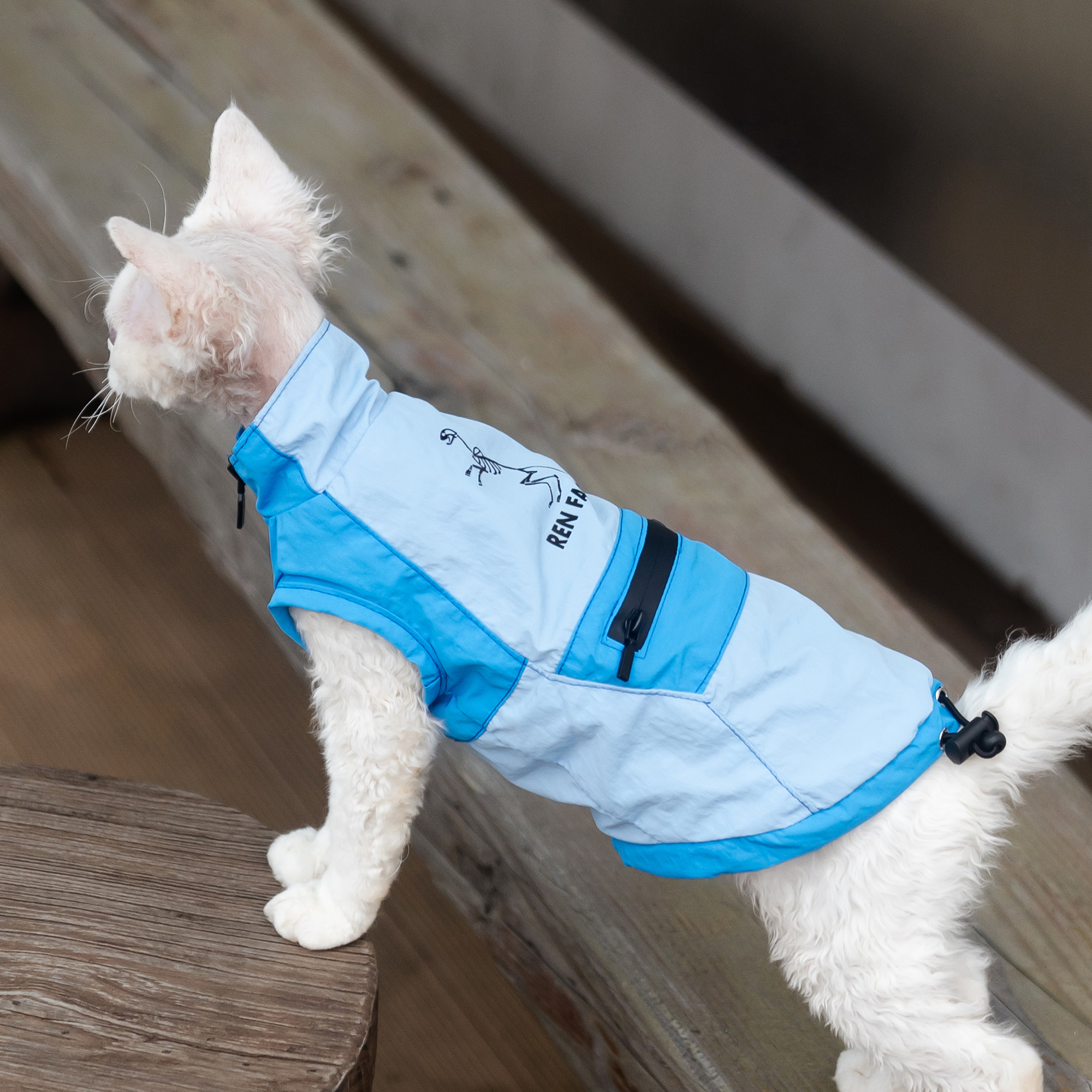 防水防晒夏季冲锋衣背心薄款任发财纯棉无毛猫德文衣服斯芬克斯猫