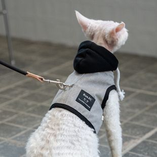 任发财韩系遛猫胸背带牵引绳无毛猫德文衣服斯芬克斯猫户外灰