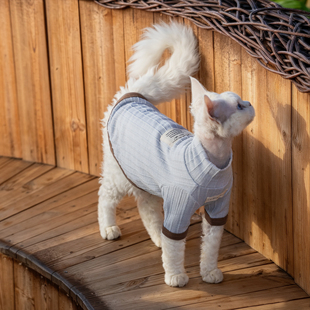 任发财雾蓝棕肌理感秋季打底T恤无毛猫衣服德文衣服阿比尼西亚