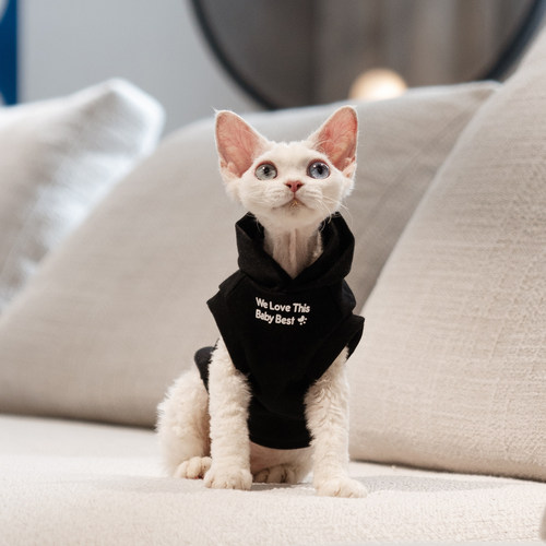 任发财德文无毛猫衣服
