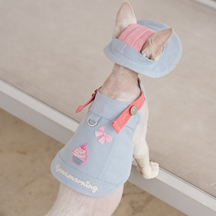 冰淇淋胸背带牵引绳纯棉无毛猫衣服德文衣服斯芬克斯猫