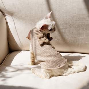舒适裙任发财无毛猫衣服斯芬克斯猫德文 韩系小熊齐袖