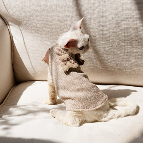 韩系小熊齐袖舒适裙任发财无毛猫衣服斯芬克斯猫德文