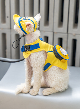 任发财 原创潮牌户外明黄遛猫胸背带德文无毛猫牵引绳胸背带