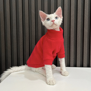 新年大红加绒加厚高领毛衣无毛猫衣服德文衣服斯芬克斯猫任发财