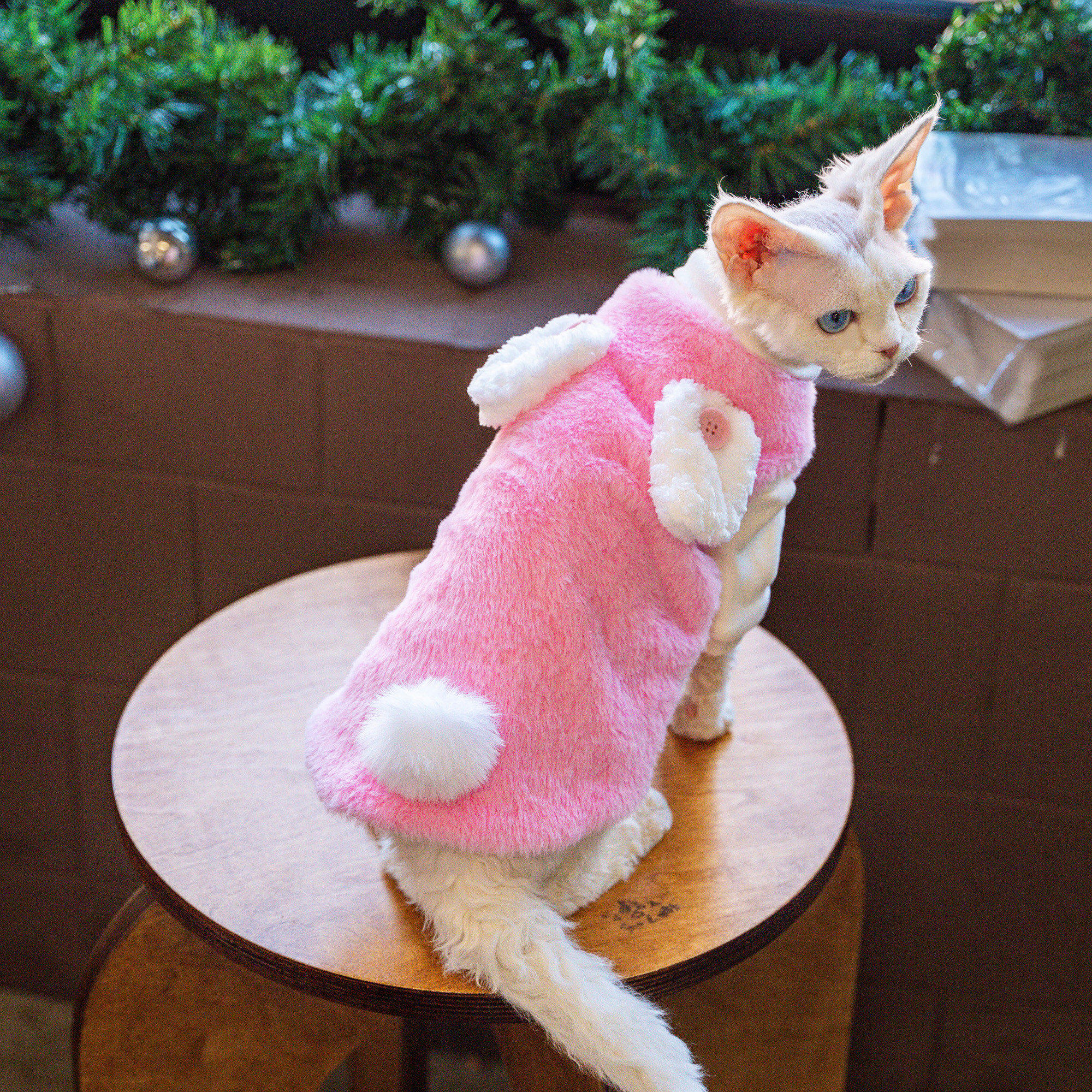 任发财 可爱兔兔毛毛马甲猫衣服马甲无毛猫德文暹罗保暖背心