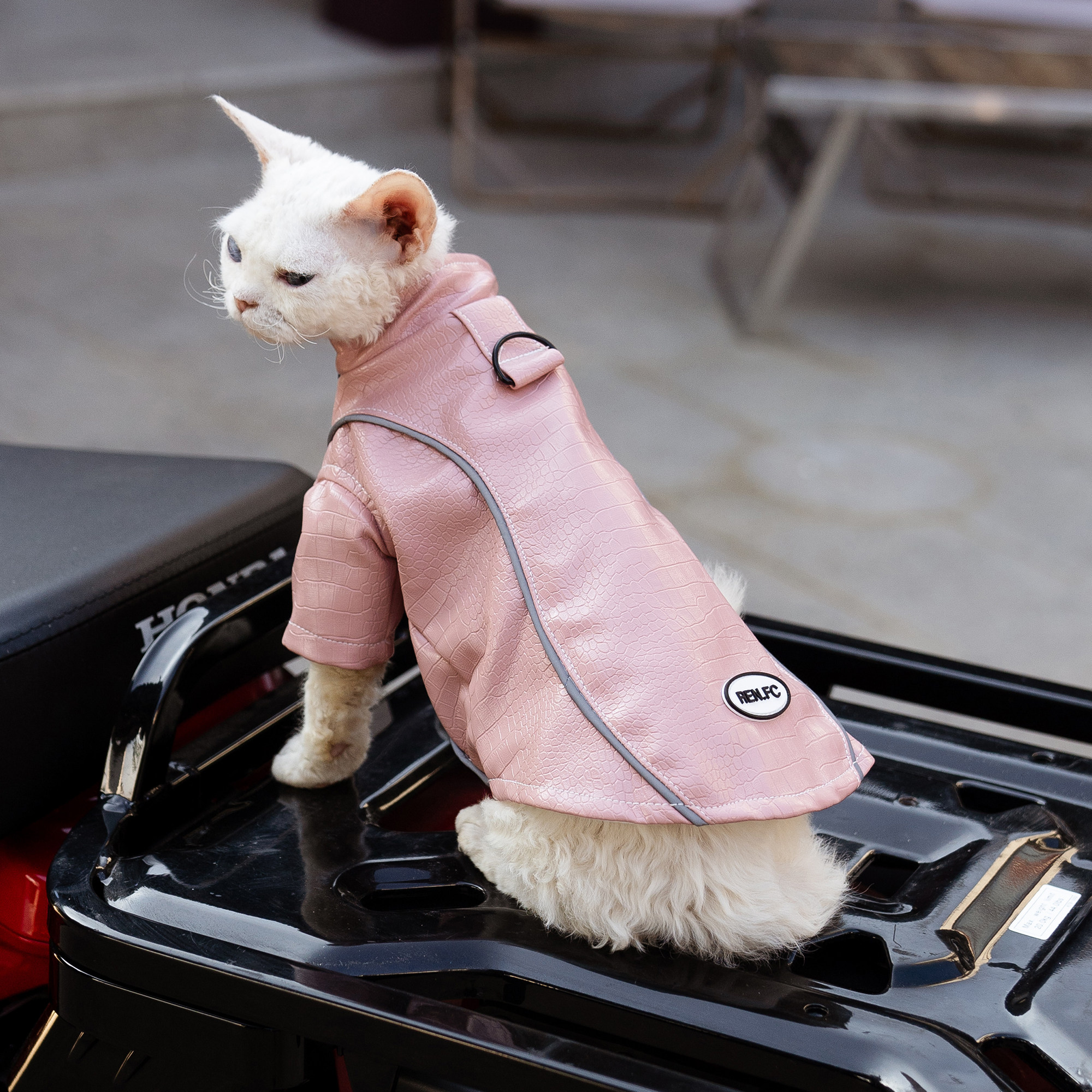 鳄鱼皮衣外套潮酷反光机车任发财无毛猫衣服斯芬克斯猫德文