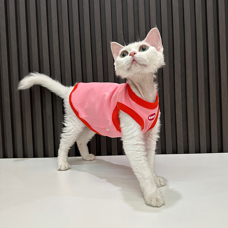 任发财原创潮牌背心纯棉无毛猫衣服德文衣服斯芬克斯猫可爱 宠物/宠物食品及用品 猫宠物服装/雨衣（新） 原图主图