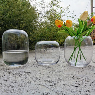 简约创意透明玻璃花瓶微景观生态水培干花插花客厅餐桌装饰品摆件