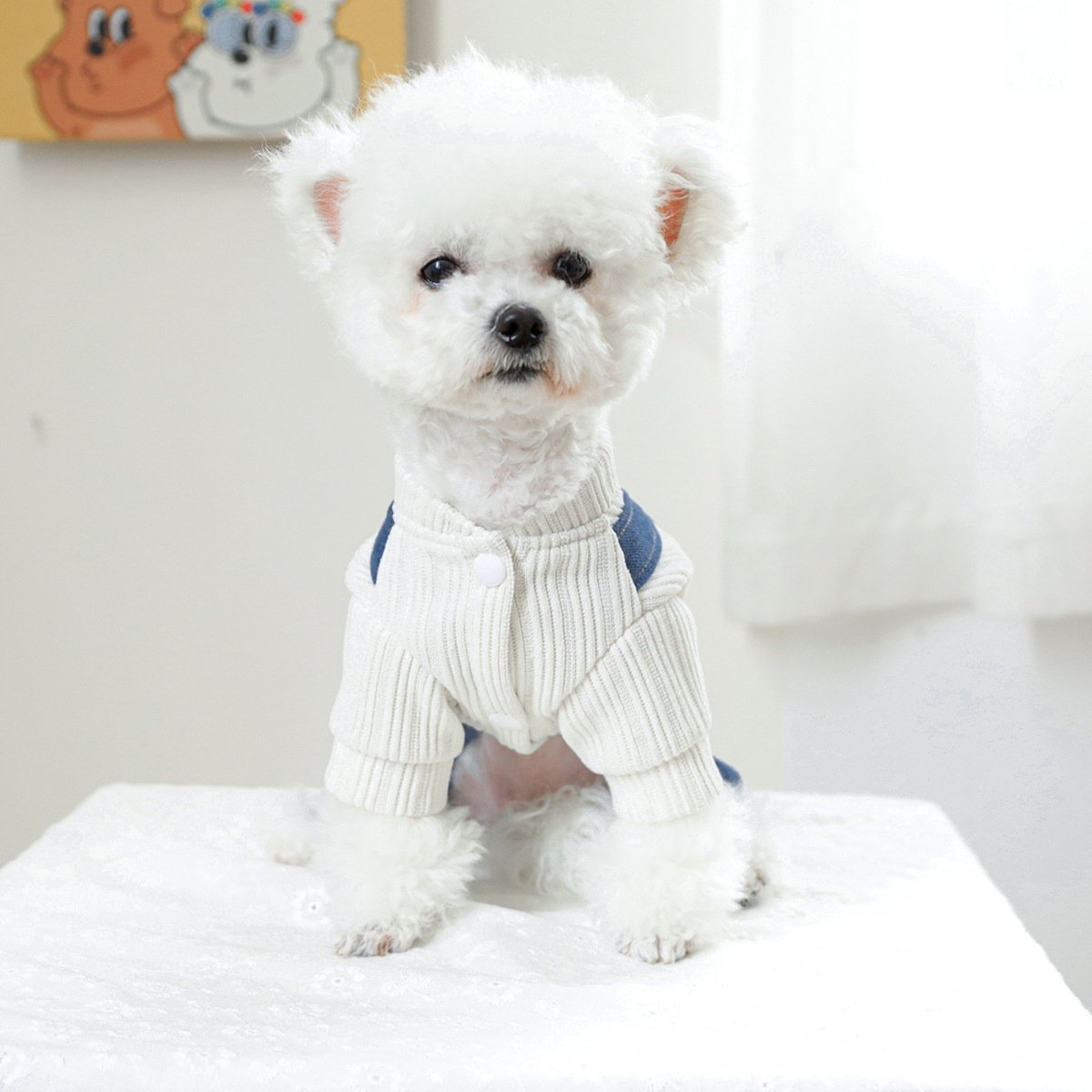 PETCIRCLE狗衣服 宠物衣服狗狗猫猫服装服饰四脚衣心跳牛仔裤,宠物/宠物食品及用品,狗宠物服装/雨衣,淘宝优惠券,粉丝福利购,淘宝优惠卷