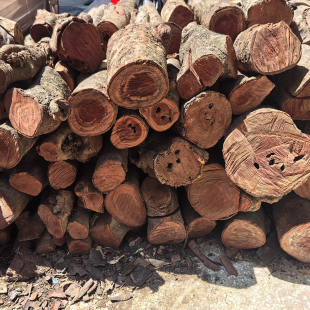 荔枝木柴家用篝火壁炉取暖柴火松木户外烧烤果木木头干柴露营木材