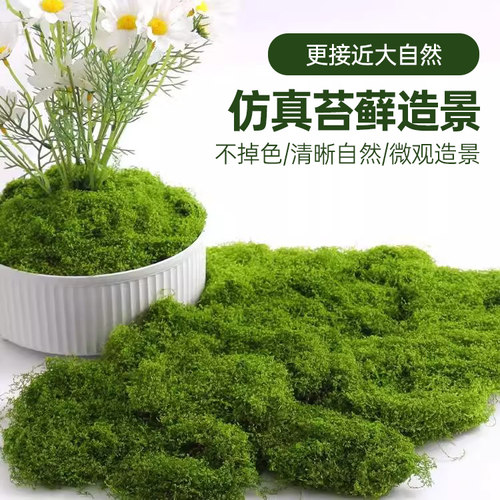 仿真苔藓草皮苔藓绿化美观