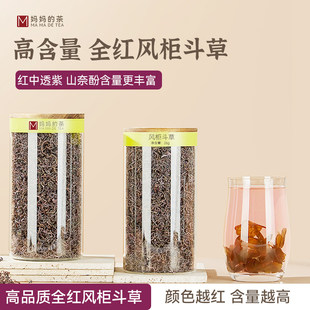 正宗四川深山小叶野生楮头红风柜斗草风鼓草风骨风谷草手工炒制