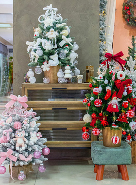 Christmas Tree Nobeison Cedar Accumulation圣诞树诺贝松积雪松